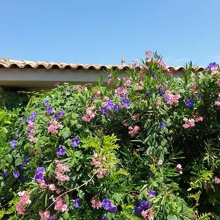 Mas De La Petite Jeanne Apartamento Grimaud