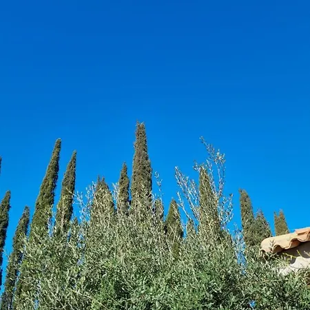 Mas De La Petite Jeanne Grimaud