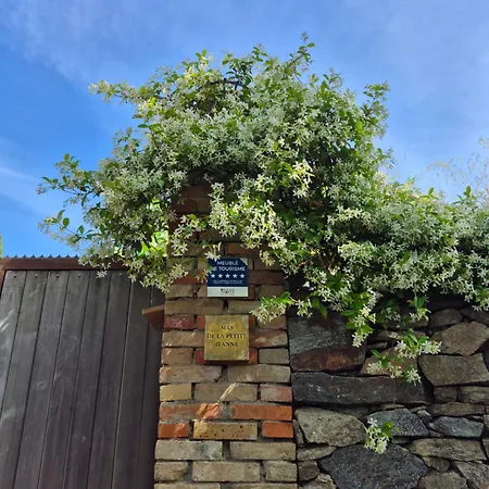 Mas De La Petite Jeanne *